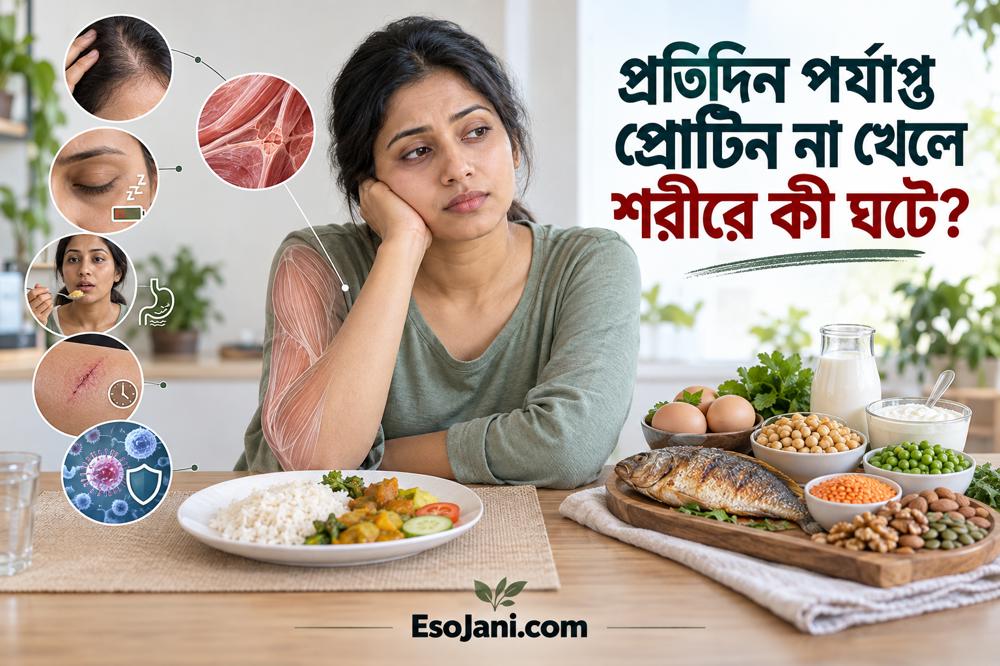 প্রতিদিন পর্যাপ্ত প্রোটিন না খেলে শরীরে কী ঘটে? পেশি, চুল, রোগ প্রতিরোধ ও স্বাস্থ্যের ওপর প্রভাব