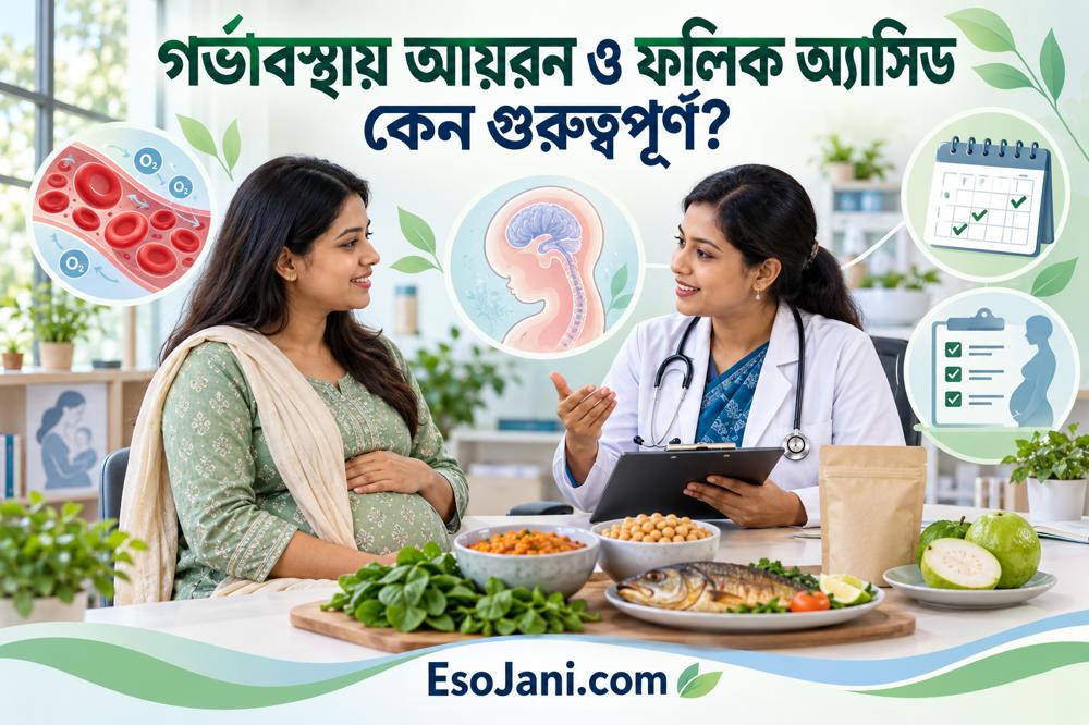 গর্ভাবস্থায় আয়রন ও ফলিক অ্যাসিড: গুরুত্ব, গ্রহণের সময় ও সতর্কতা