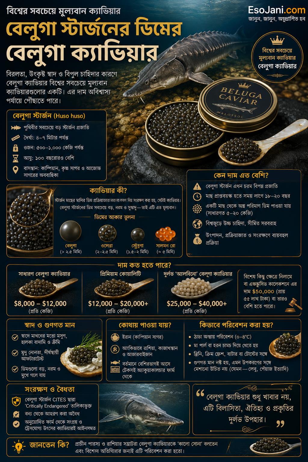 বেলুগা স্টার্জনের ডিম থেকে তৈরি ‘বেলুগা ক্যাভিয়ার’ বিশ্বের সবচেয়ে মূল্যবান ক্যাভিয়ারগুলোর একটি; বিরলতা ও চাহিদার কারণে এর দাম অবিশ্বাস্য পর্যায়ে পৌঁছাতে পারে।