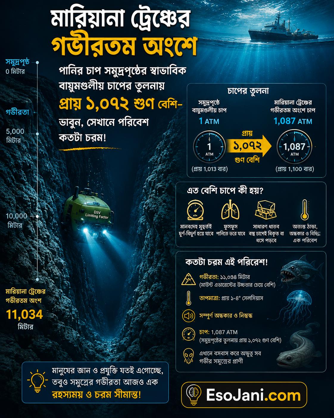 মারিয়ানা ট্রেঞ্চের গভীরতম অংশে পানির চাপ সমুদ্রপৃষ্ঠের স্বাভাবিক বায়ুমণ্ডলীয় চাপের তুলনায় প্রায় ১,০৭২ গুণ বেশি—ভাবুন, সেখানে পরিবেশ কতটা চরম!