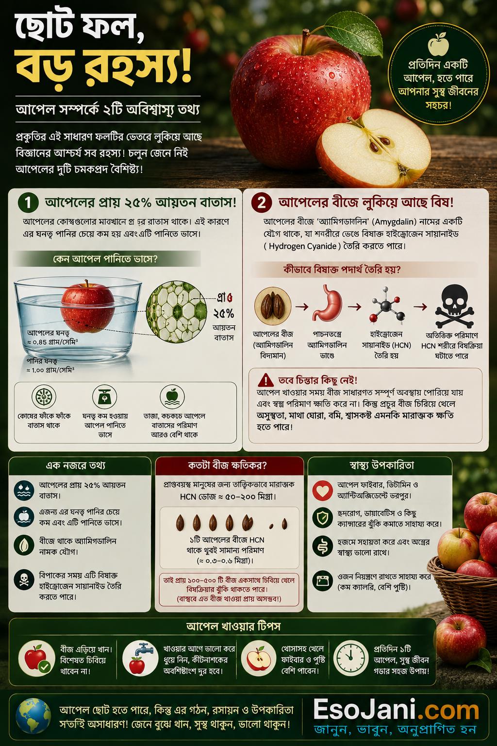 আপেলের প্রায় ২৫ শতাংশ আয়তন বাতাস হওয়ায় এটি পানিতে ভাসে; আবার এর বীজে অ্যামিগডালিন নামের একটি যৌগ থাকে, যা বিপাকের সময় বিষাক্ত হাইড্রোজেন সায়ানাইড তৈরি করতে পারে।